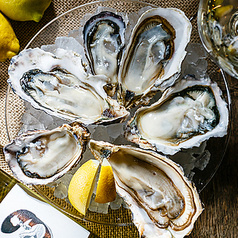 Oyster Bar & Restaurant Ostrea オストレア 新宿三丁目店