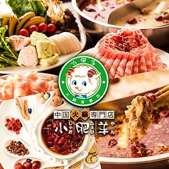 火鍋 小肥羊 新宿店 しゃおふぇいやん