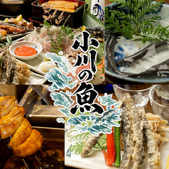 小川の魚
