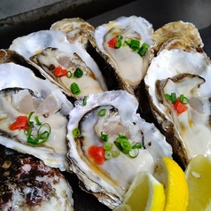 居酒屋 わっしょい 高田馬場 西早稲田