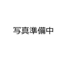 新菊次