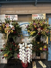 洋食酒場TABERI タベリ