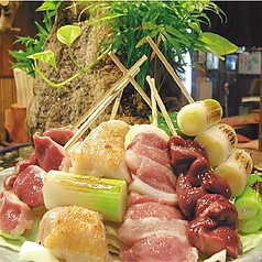 玉金 たまきん 西池袋店