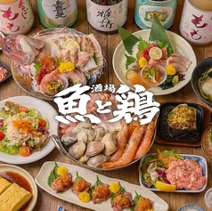 酒場 魚と鶏ヤロー 新橋店